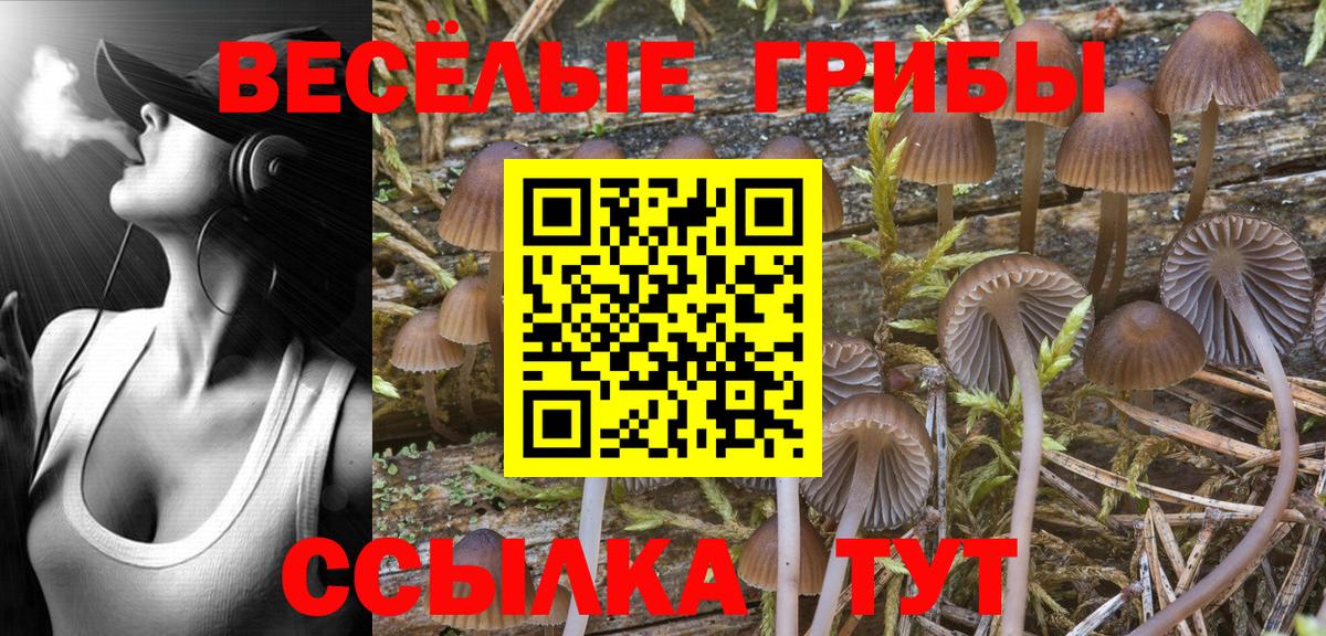 Псилоцибиновые грибы Cubensis  купить наркотики сайты  Приморско-Ахтарск  Галлюциногенные грибы Cubensis  Вход с VPN 